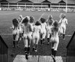 Ele fac ravagii pe terenul de rugby