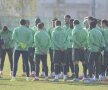 Reghecampf a antrenat două echipe după ce a plecat de la Steaua: Al Hilal, în Arabia Saudită, apoi Litex Loveci, în Bulgaria