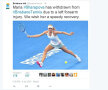 Înţepături fără nume » Halep şi Şarapova s-au retras de la Brisbane, Errani a luat foc pe Twitter. Cronologia evenimentelor