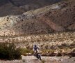 Imagine spectaculoasă din cea mai dură competiţie auto. Aici, Barreda Bort în Raliul Dakar (foto: reuters)