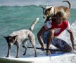


CE-A FĂCUT, CINE L-A PUS? :) Fostul campion la surf Chris de Aboitiz și-a învățat câinii să se dea cu placa și acum i s-au urcat în cap. foto: reuters