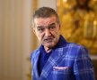 REPORTAJ INCREDIBIL Jaful SCANDALOS din pădurea Băneasa! "Becali muta stejarii din pădure în propria curte"