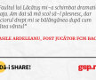 Faultul lui Lăcătuş mi-a schimbat dramatic viaţa. Am dat să mă scol să-l plesnesc, dar piciorul drept mi se bălăngănea după cum bătea vântul