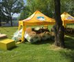 FOTO  Spectacol special pregătit în Parcul IOR cu ocazia deschiderii Campionatului European