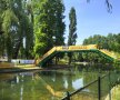 FOTO  Spectacol special pregătit în Parcul IOR cu ocazia deschiderii Campionatului European