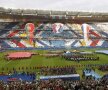 Francezii au pregătit un spectacol de culoare înaintea ultimului meci de la EURO 2016 Foto: Reuters
