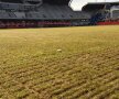 Aşa arată acum gazonul de pe Cluj Arena // Foto: ziuadecj.realitatea.net