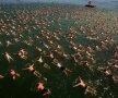 O zi normală în Zurich! Mii de oameni s-au adunat pentru cursa anuală de 1.500 de metri pe lacul din oraş (foto: reuters)
