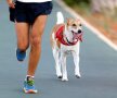BEST FRIENDS. Un participant la triatlon și-a luat cu el câinele dornic de performanță (foto: Reuters)