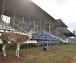 Tribună, scaune, o lamă... Wait what?! E circ, la propriu, pe gazonul pe care Unirea Urziceni cucerea titlul în 2009. Foto: Alex Nicodim (GSP)
