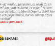 N-ați venit cu șampanie, cu ceva? Cu un tort? Am jucat cu Roma, ce voiați? Nu am jucat cu Industria Sârmii Deșertul Gobi! Roma e o echipă puternică, dar voi sunteți o țară de steliști