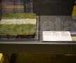 Corespondență din Elveția » FOTO Templul fotbalului » Zurich găzduiește Fifa World Football Museum: un obiectiv de neratat de suporteri