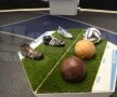 Corespondență din Elveția » FOTO Templul fotbalului » Zurich găzduiește Fifa World Football Museum: un obiectiv de neratat de suporteri