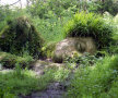 Foto: via sobadsogood.com