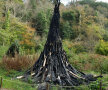 Foto: via sobadsogood.com