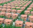 Cel mai bogat sat din China are reguli foarte ciudate. Tu ai rezista să trăiești aici?