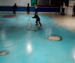 VIDEO » Un patinoar din Japonia, închis pentru că a introdus peşti sub gheaţă! Uite cum arăta