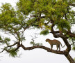 Foto: National Geographic