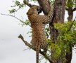 Foto: National Geographic