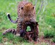 Foto: National Geographic