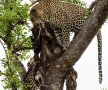 Foto: National Geographic