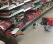 Un castor a distrus un magazin de cadouri pentru Crăciun ► Foto: delmondo.info