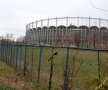 Baza Sportivă ”Viitorul București” // Foto: Alin Grigore