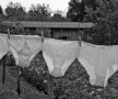 FOTO Cel mai inedit protest: de ce își agață femeile lenjeria intimă la ferestre