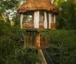 Treehouse Lodge, Peru