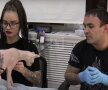 Un rus şi-a tatuat pisica ► Foto: CEN / Life.ru