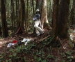 Pădurea Aokigahara (Japonia)