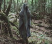 Pădurea Aokigahara (Japonia)