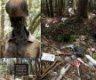Pădurea Aokigahara (Japonia)
