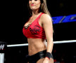 FOTO Retragerea lui Nikki » Cea mai frumoasă tipă din circuit renunță la wrestling 