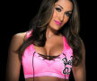 FOTO Retragerea lui Nikki » Cea mai frumoasă tipă din circuit renunță la wrestling 