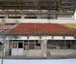 Foto: Cristi Preda (Gazeta Sporturilor)