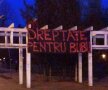 FOTO Dinamoviștii cer dreptate pentru suporterul ucis după derby » Bannerul afișat la locul faptei