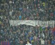 "Câinii" vor stadion, steliştii vor echipă