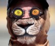 AUSTRALIAN STYLE. Noul trend printre spectatori la cursele de Formula 1: ochelari de soare 3D și mască fioroasă, cu o față de tigru (foto: Reuters)