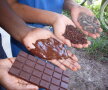 FOTO & VIDEO » Istoria ciocolatei