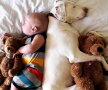 GALERIE FOTO » Un câine traumatizat este îngrozit de oameni, cu excepţia acestui copil