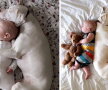 GALERIE FOTO » Un câine traumatizat este îngrozit de oameni, cu excepţia acestui copil