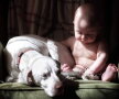 GALERIE FOTO » Un câine traumatizat este îngrozit de oameni, cu excepţia acestui copil