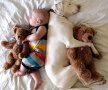 GALERIE FOTO » Un câine traumatizat este îngrozit de oameni, cu excepţia acestui copil