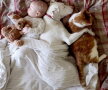 GALERIE FOTO » Un câine traumatizat este îngrozit de oameni, cu excepţia acestui copil