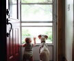 GALERIE FOTO » Un câine traumatizat este îngrozit de oameni, cu excepţia acestui copil