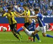 Au găsit-o! Motivul incredibil pentru care femeia se afla în tribuna lui Schalke la meciul cu Dortmund: "Ce să fac?"