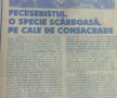 FOTO Tocmai ei râd de FCSB! » Șefii lui CS U, echipă suspectată că e clonă, i-au declarat război echipei lui Becali înaintea meciului: "Fecesebistul, o specie scârboasă, pe cale de consacrare"