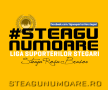 FC Brașov o poate lua pe urmele Rapidului: "S-au înscris deja 100 de persoane"