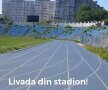 EXCLUSIV FOTO + VIDEO MTS și Consiliul Local se bat pe stadionul "Farul"! Arena a devenit însă focar de infecție: "Avem căpușe și șobolani! Și o livadă prin tribune"